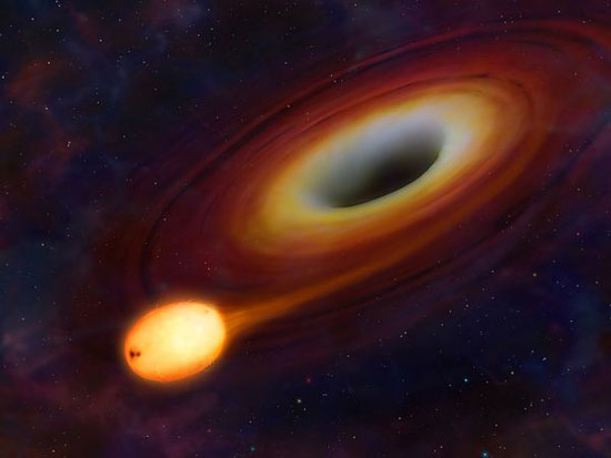 Hình ảnh mô phỏng cảnh ngôi sao bị lỗ đen 