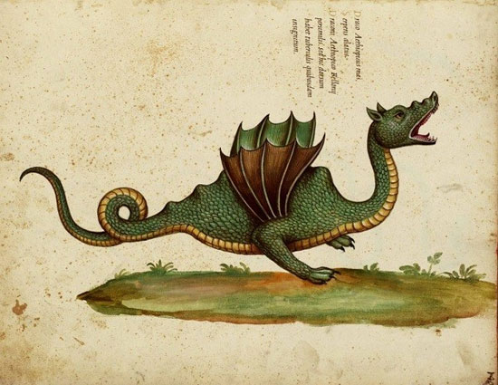 Những ghi chép về loài rồng "có thật" trong lịch sử