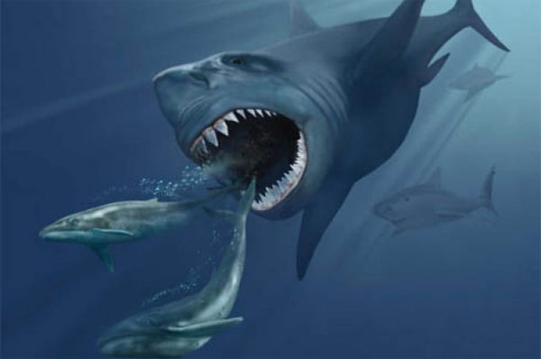 Cá mập khổng lồ Megalodon vẫn còn sống dưới biển sâu?