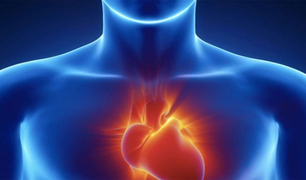 25 sự thật thú vị về trái tim của bạn