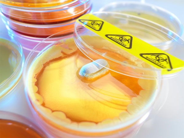 Phát hiện siêu kháng sinh có thể chữa hầu hết các bệnh Phát hiện siêu kháng sinh có thể chữa hầu hết các bệnh