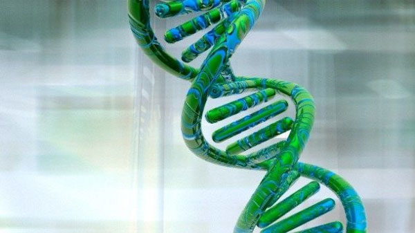 Virus khiến con người thông minh hơn?