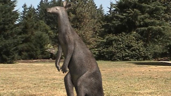 Trích xuất ADN của 2 loài kangaroo cổ xưa