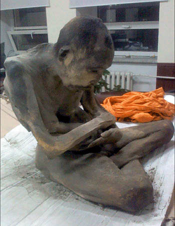 Xác ướp ở tư thế thiền hoa sen.  Nhà sư được ướp xác ở Mông Cổ có thể chưa chết