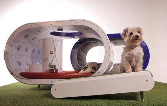 Ra mắt nhà thông minh dành cho chó cưng