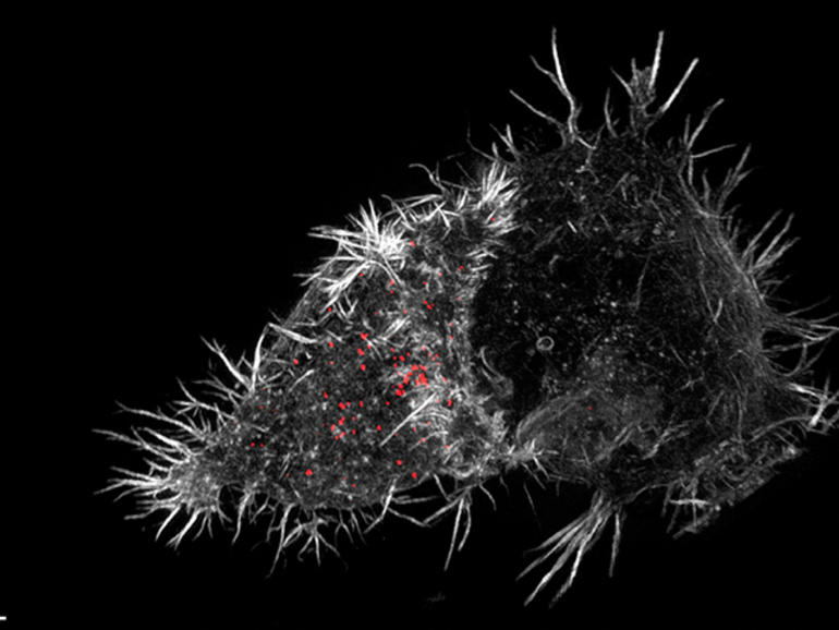 10 hình ảnh gây chấn động về thành tựu khoa học y tế năm 2015