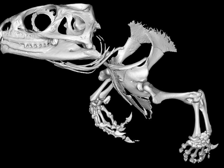 10 hình ảnh gây chấn động về thành tựu khoa học y tế năm 2015