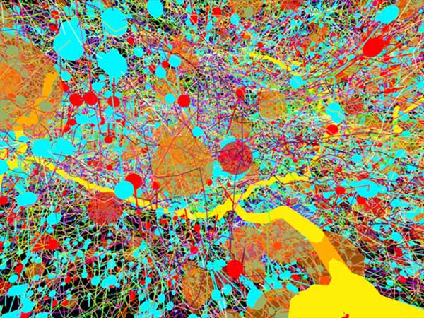 10 hình ảnh gây chấn động về thành tựu khoa học y tế năm 2015