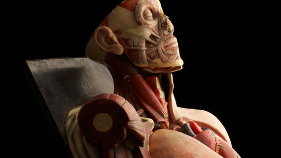 10 hình ảnh gây chấn động về thành tựu khoa học y tế năm 2015