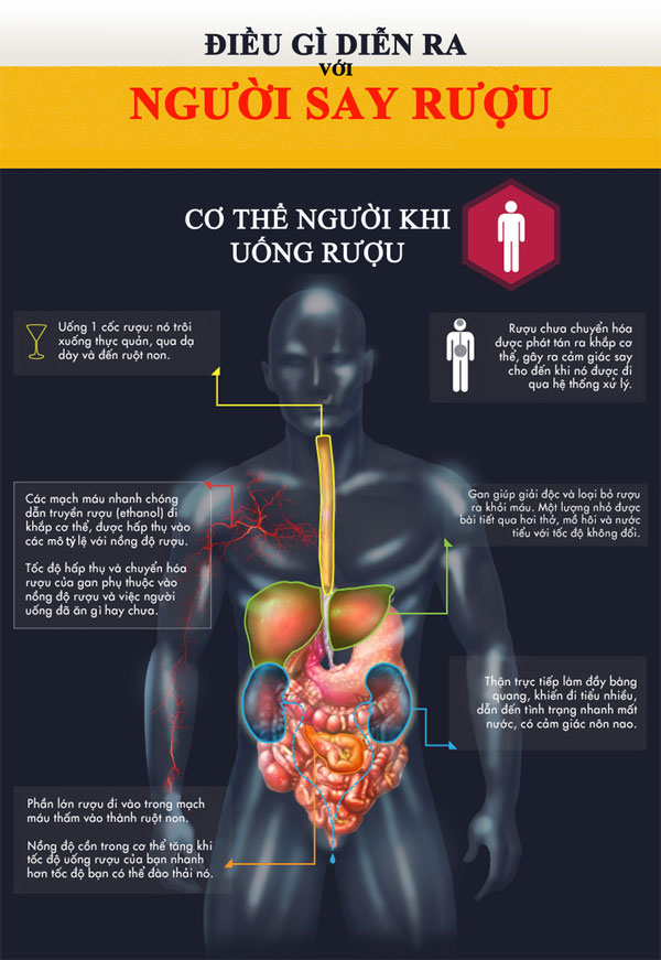 Giải mã biểu hiện cơ thể khi say xỉn