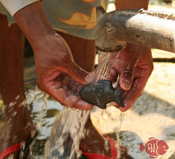 Chú cá thần kỳ gây sốt ở Campuchia