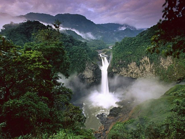 Rừng tự nhiên Amazon đẹp đến 